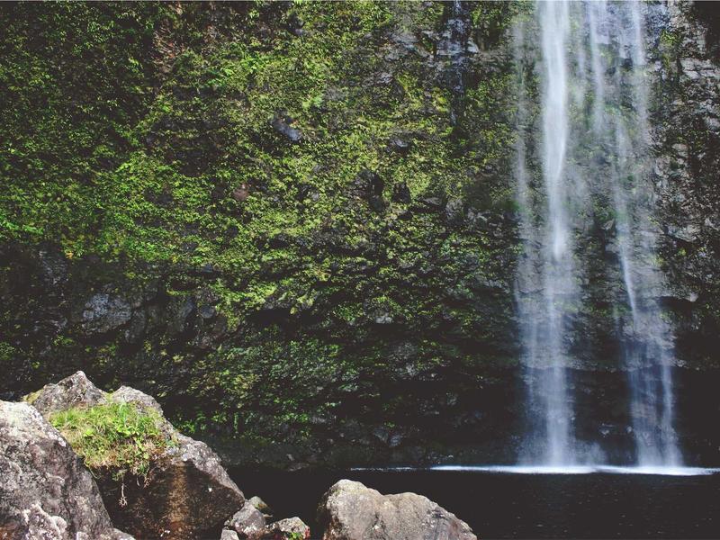 sudoku logical deduction screenshot 4